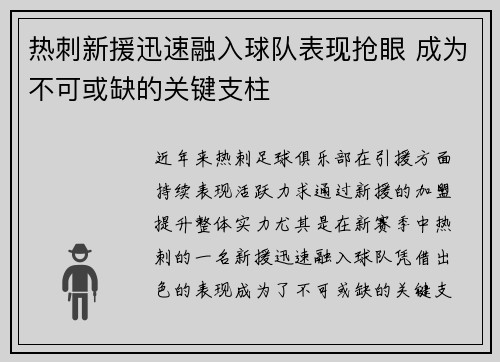热刺新援迅速融入球队表现抢眼 成为不可或缺的关键支柱