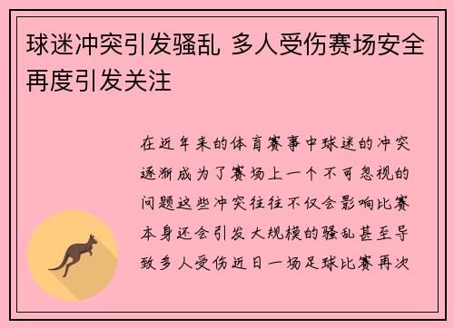 球迷冲突引发骚乱 多人受伤赛场安全再度引发关注