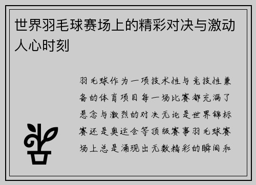 世界羽毛球赛场上的精彩对决与激动人心时刻